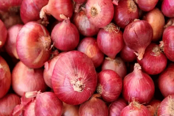 कांदा खरेदी दरात १३ टक्क्यांनी वाढ