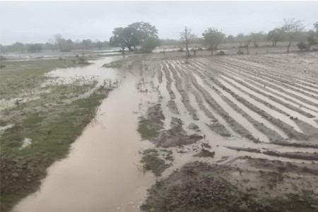 दोन दिवसाच्या पुराने शेतकऱ्यांचे स्वप्न वाहून नेले f