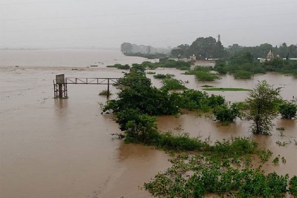 vasai rain news nala sopara flood tragedy: 50-year-old man swept away in mangulipada