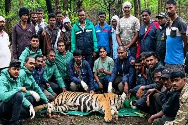 tadoba