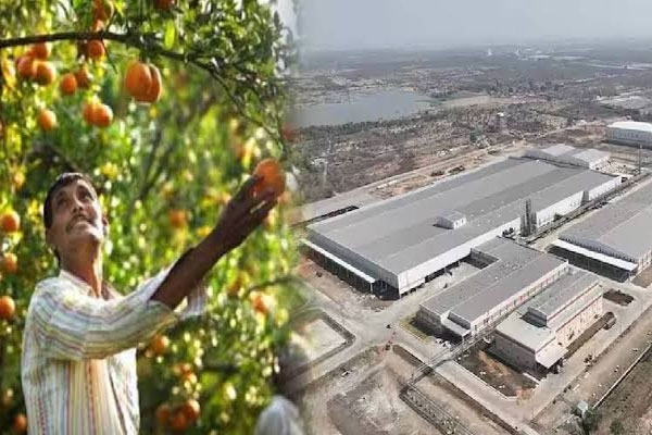 orange processing industry to restart orange processing industry to restart