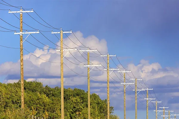 power lines 
