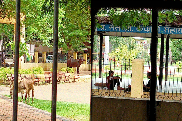 citizens inconvenienced in the park