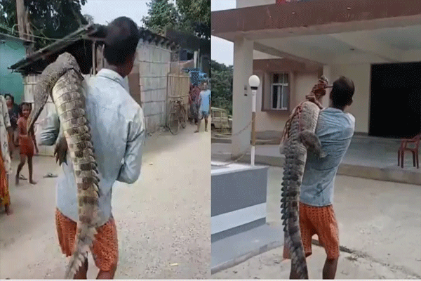 bihar-news
