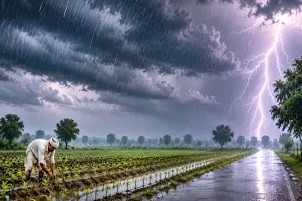 maharashtra weather alert heavy rain forecast in pune ghats, mumbai and konkan till august 15