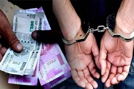 लाचखोर वनपालासह दोन वनरक्षक एसीबीच्या जाळ्यात