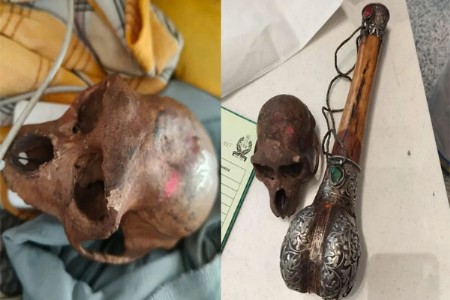 धक्कादायक प्रकार प्रवाशाच्या हँडबॅगेत माकडाची कवटी