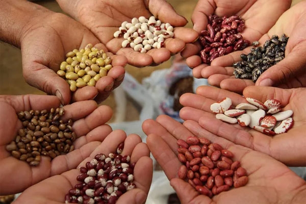online fertilizer booking app