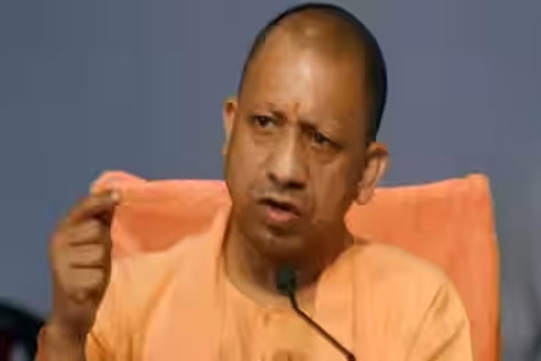 Yogi Yogi