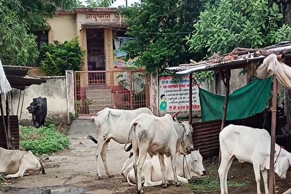 Ayushman Health Centre 