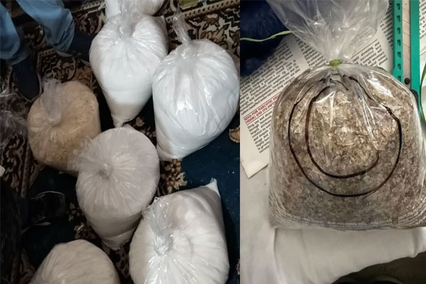 NCB Drug Bust International Drug Trafficking Network Busted, Drugs Worth Rs 15 Crore Seized