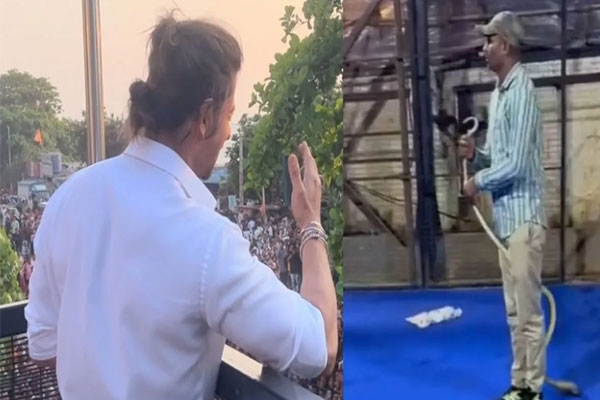 Shah Rukh Khan’s Mannat Two Snakes Spotted During Renovation, One Rescued