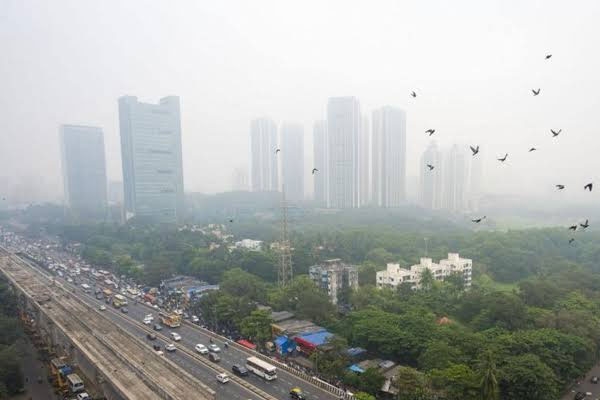maharashtra weather update heavy rain in marathwada, yellow alert issued for 11 districts