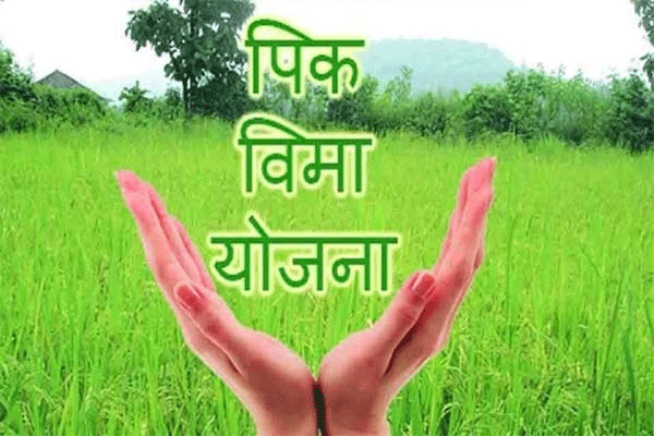 crop insurance scheme crop insurance scheme