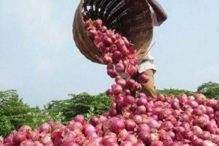 सणासुदीआधी कांदा महागला