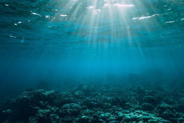 depths of the sea depths of the sea