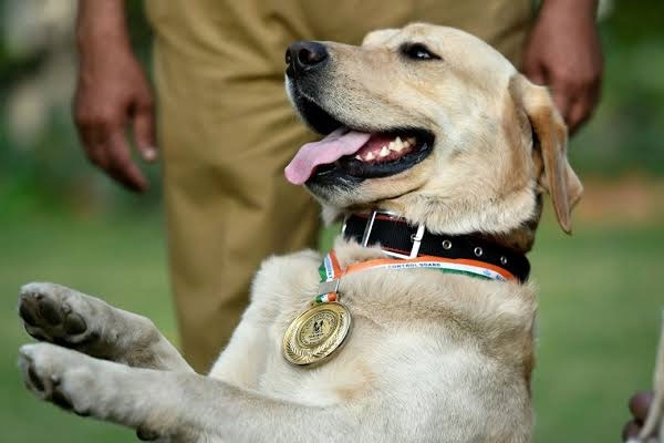 dog will stay with the police