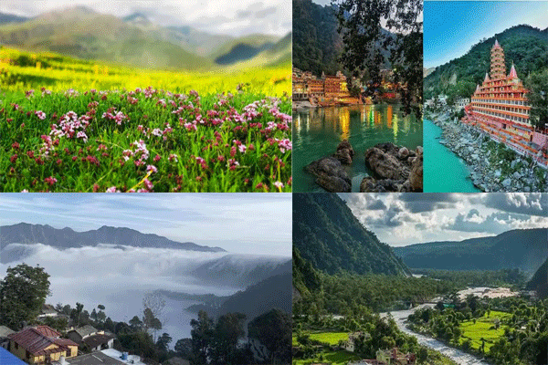 these 5 places are perfect choices these 5 places are perfect choices