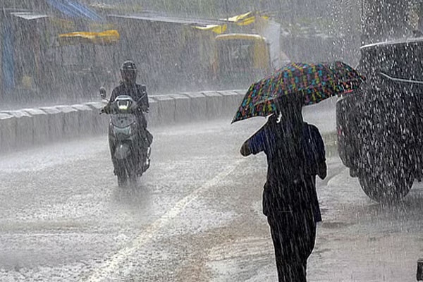 maharashtra rain update rainfall to decrease after 3 days, farmers face new crisis