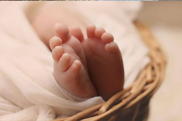 newborn infant dumped newborn infant dumped