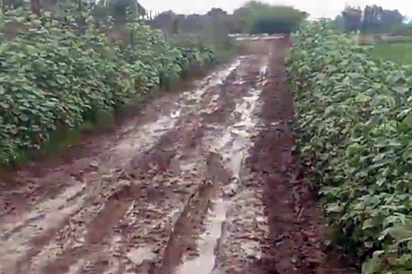 haladgao road