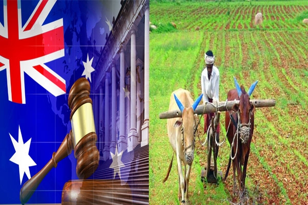 australian court rejects apeda bid for basmati certification trademark; decision gives pakistan an edge in australian rice market