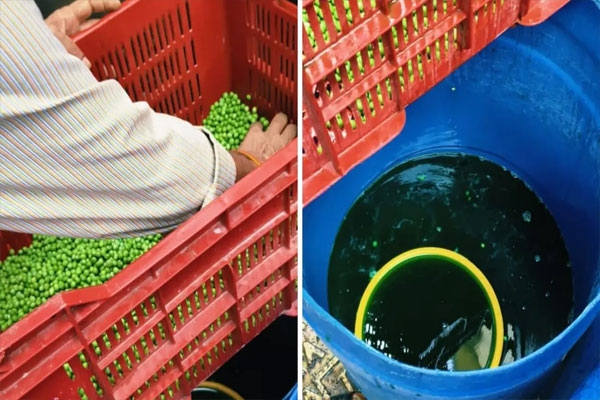 peas
