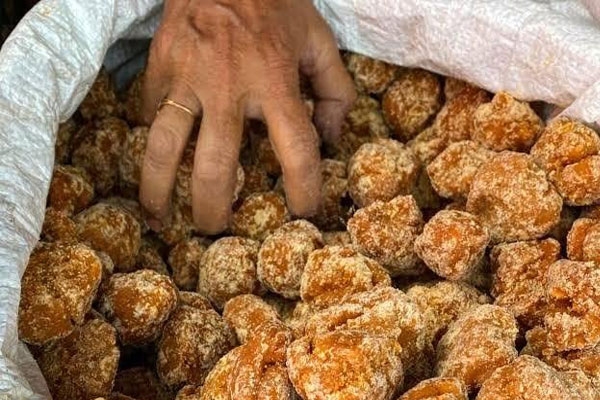 jaggery price hike hits industries as manufacturers stop taking new orders