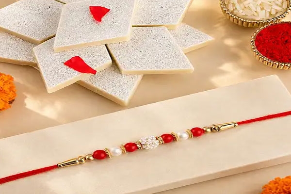 rakhi delivery in 15 minutes: online delivery to rs 12 waterproof envelope, know all options