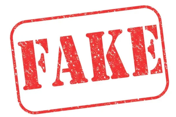 fake