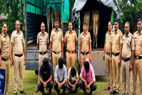 vani news, shirpur police action,