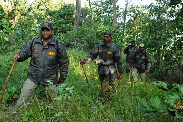 forest officers