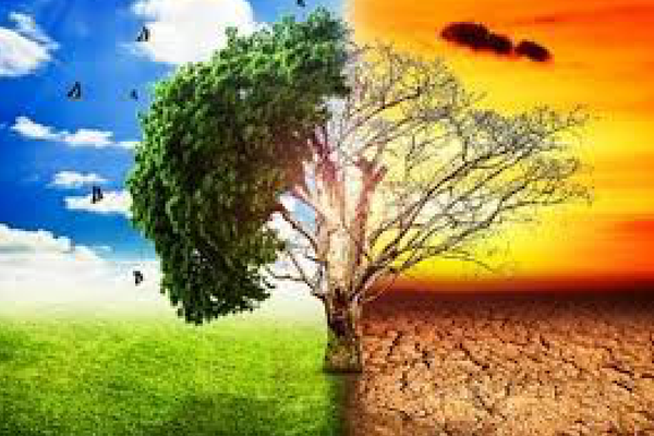 changing climate crisis changing climate crisis