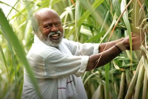 deposited into farmers deposited into farmers