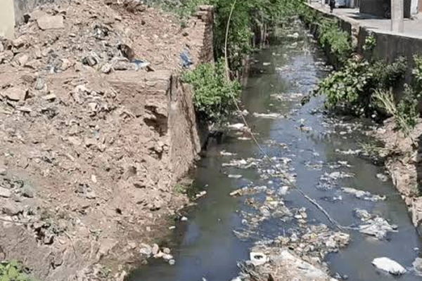 drain cleaning cost