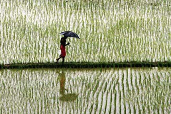 planning and agriculture planning and agriculture