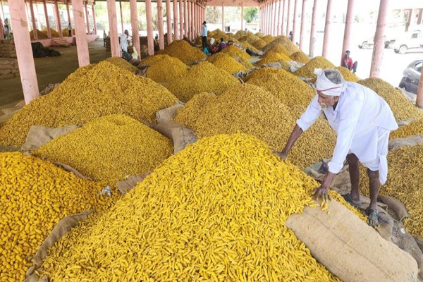 washim market