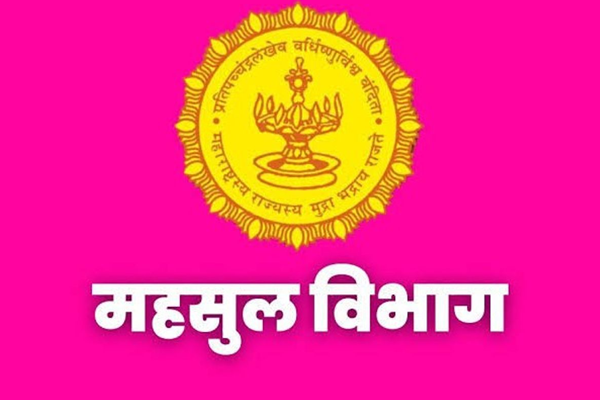 deputy collector