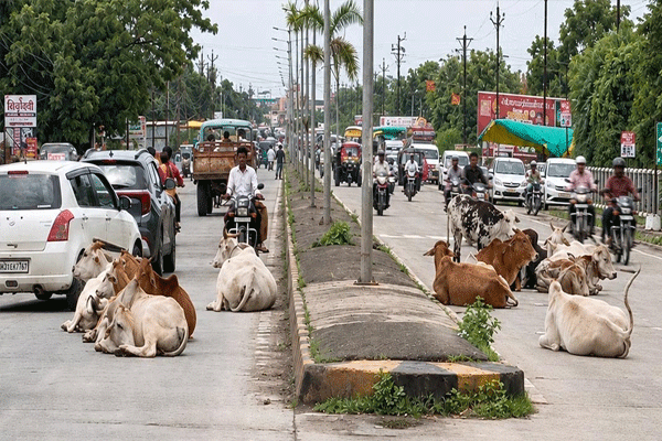 obstruction to traffic obstruction to traffic