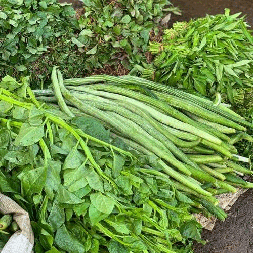 wild vegetable festival wild vegetable festival
