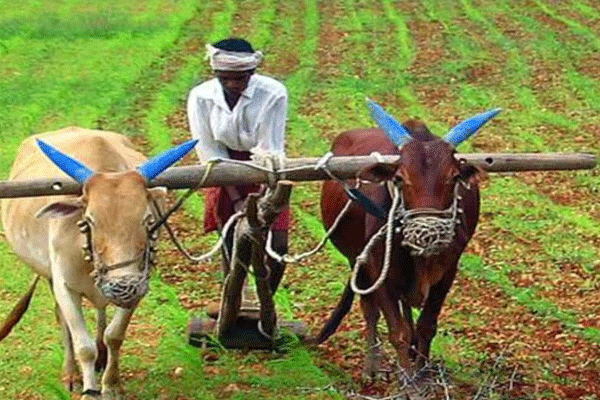 043 hectares of farmland for 34 years 043 hectares of farmland for 34 years