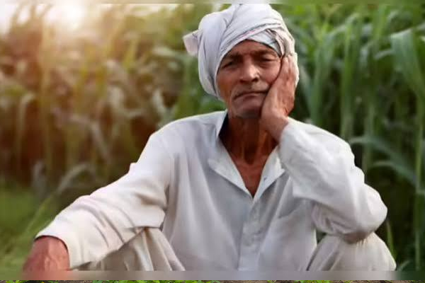 farmers