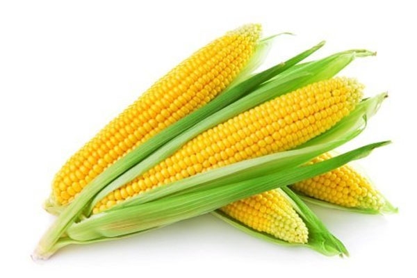 corn benefits 