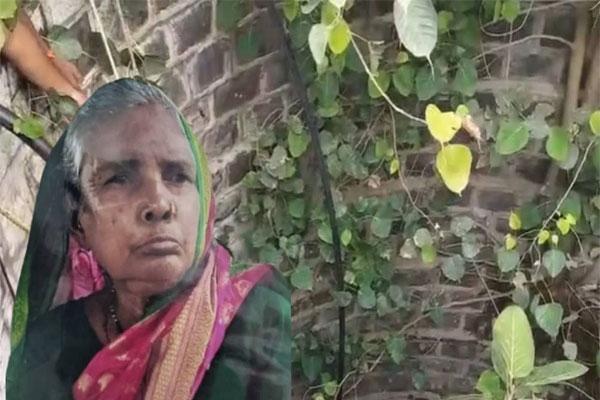 nashik news 75-year-old woman survives two days in open well in chandwad, nashik