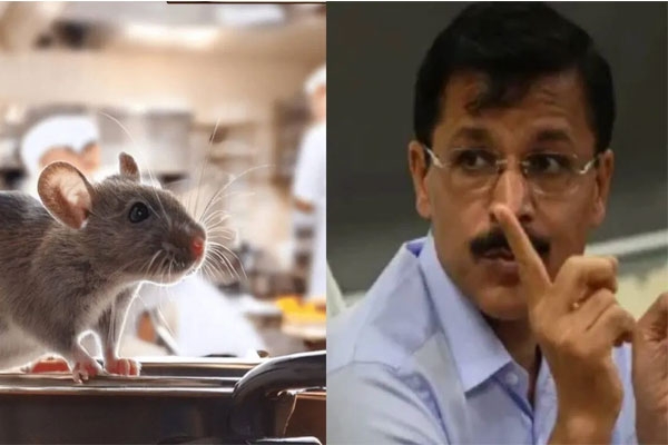 tukaram mundhe reveals shocking restaurant incident: rats called ‘pet animals’ during fda inspection