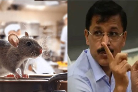 ‘हे तर आमचे पाळीव उंदीर!’ अधिकारीही चक्रावले