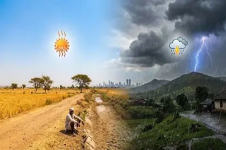 ऑगस्टनंतर सप्टेंबरही कोरडा? राज्यावर दुष्काळाचे सावट
