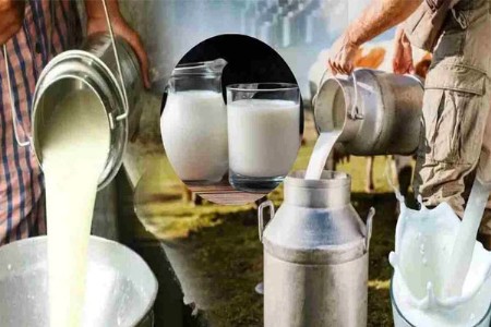 गणेशोत्सवाच्या तोंडावर दूध महाग