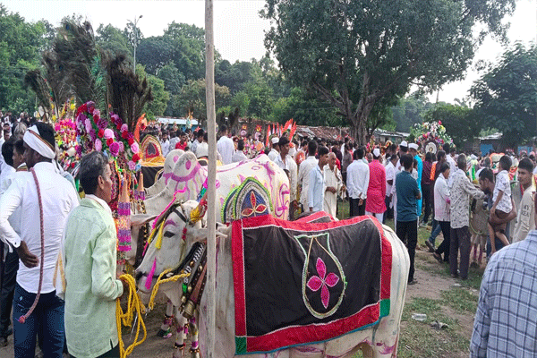 one-village-one-pola one-village-one-pola