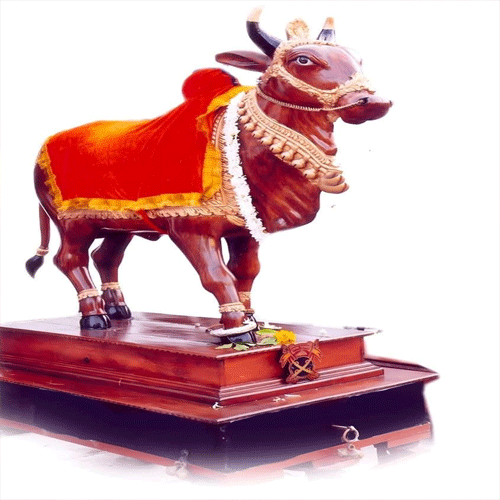 nagpurs tanha pola nagpurs tanha pola